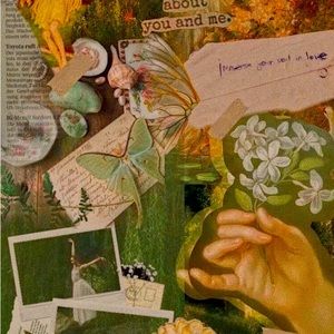 Meet your Posher, Hailey